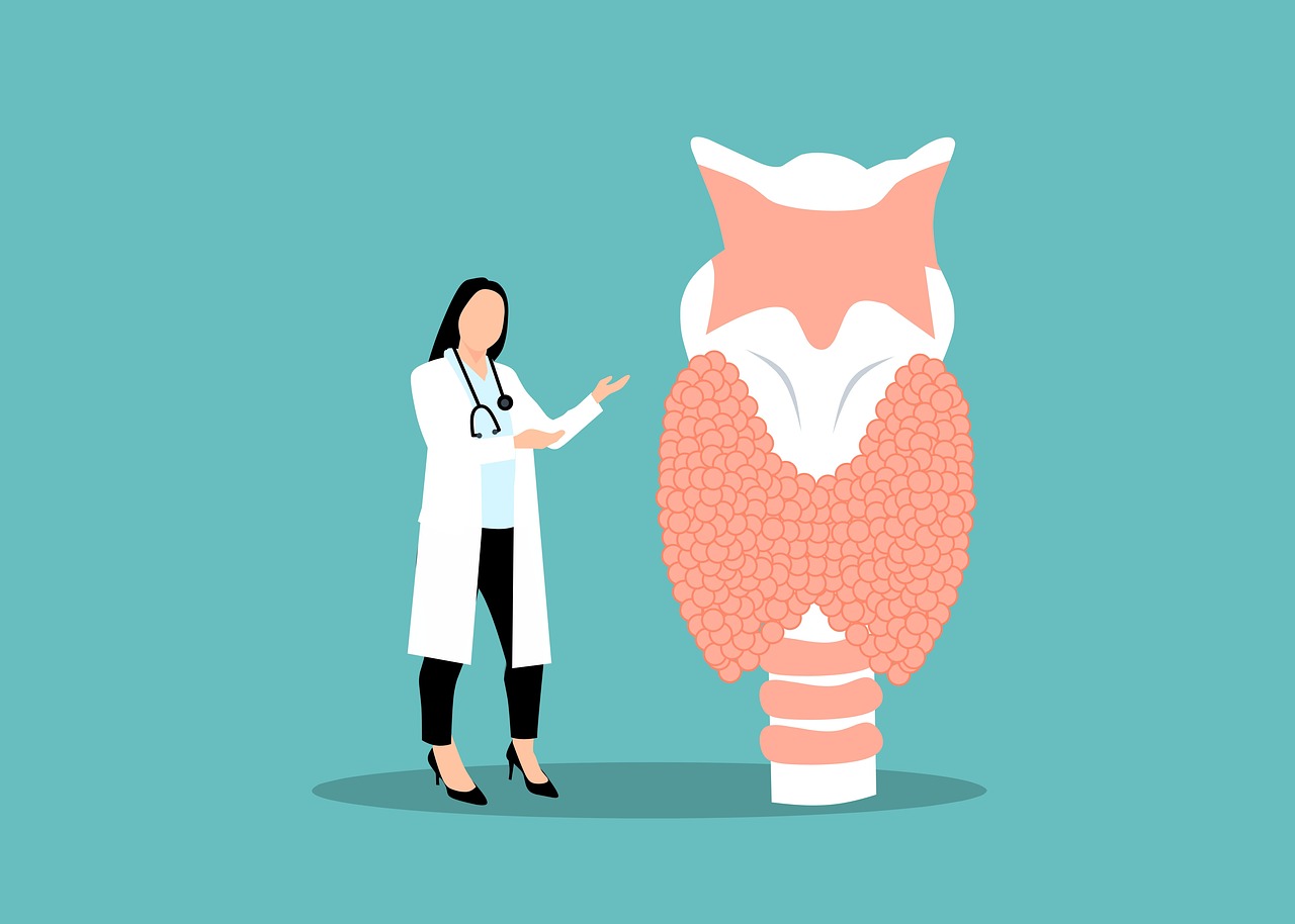 endocrinologist-8852100_1280.jpg